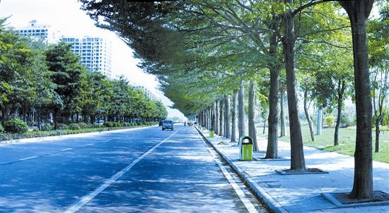 崖州灣科技城研學(xué)大道A段道路工程項(xiàng)目EPC、監(jiān)理